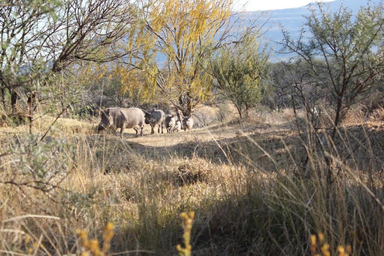 קווינסטאון A Dam'S View Accommodation מראה חיצוני תמונה