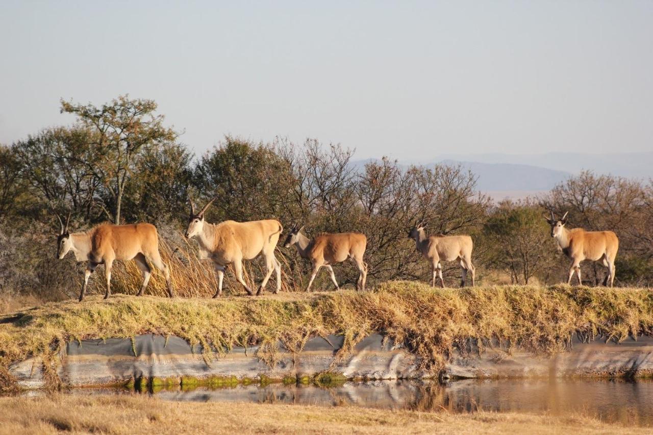 קווינסטאון A Dam'S View Accommodation מראה חיצוני תמונה