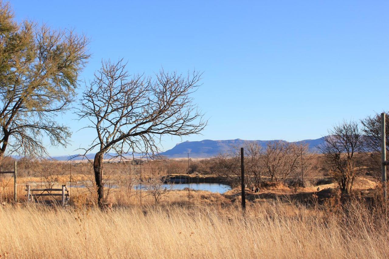 קווינסטאון A Dam'S View Accommodation מראה חיצוני תמונה